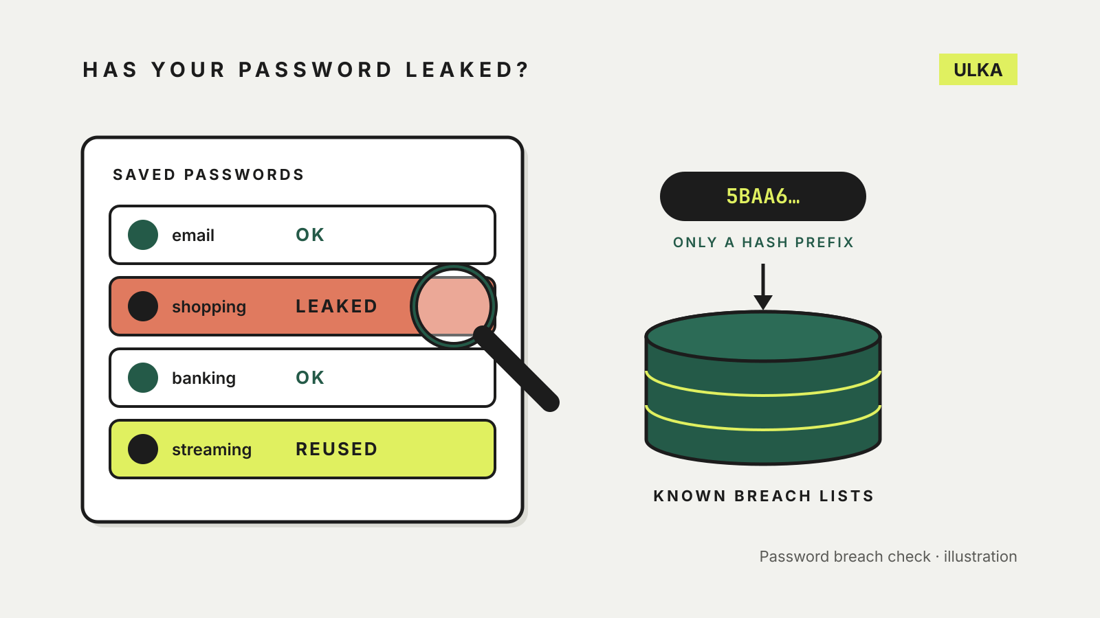 A list of saved passwords with one marked leaked and one reused under a magnifying glass, beside a hash prefix being checked against a database of known breach lists.